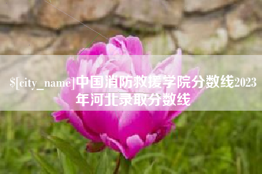 新安中国消防救援学院分数线2023年河北录取分数线