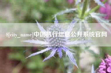 新安中国执行信息公开系统官网