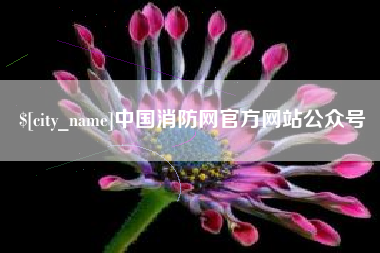 新安中国消防网官方网站公众号