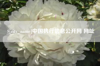 新安中国执行信息公开网 网址
