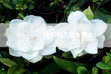 新安中国的几块金牌2021