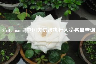 新安中国失信被执行人员名单查询