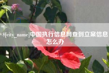 新安中国执行信息网查到立案信息怎么办