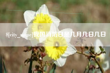 新安我国消防日是几月几日几日