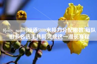 新安短道5000米接力分配圈数-每队由多名选手共同完成这一漫长赛程