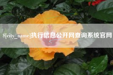 新安执行信息公开网查询系统官网