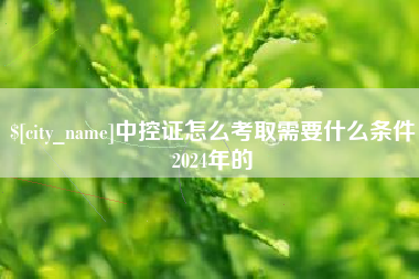 新安中控证怎么考取需要什么条件2024年的