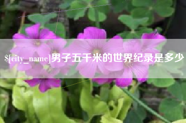 新安男子五千米的世界纪录是多少