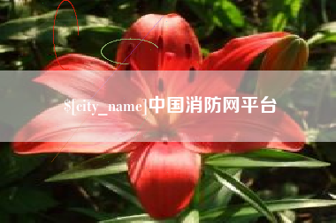 新安中国消防网平台
