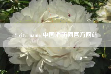 新安中国消防网官方网站
