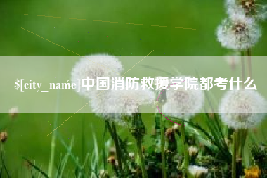 新安中国消防救援学院都考什么