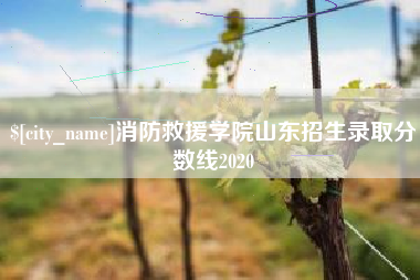 新安消防救援学院山东招生录取分数线2020