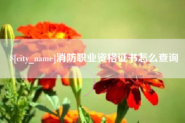 新安消防职业资格证书怎么查询