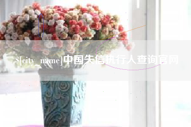 新安中国失信执行人查询官网