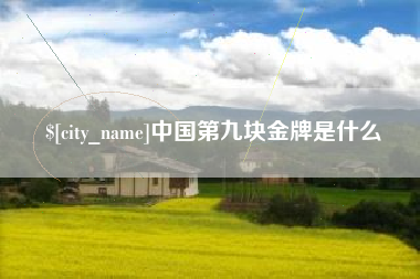 新安中国第九块金牌是什么