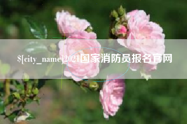 新安2021国家消防员报名官网