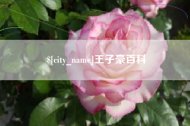 新安王子豪百科