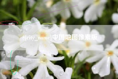 新安中国地图像素版