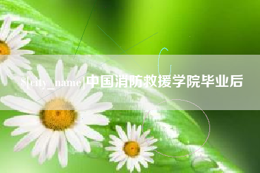 新安中国消防救援学院毕业后