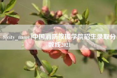 新安中国消防救援学院招生录取分数线2021
