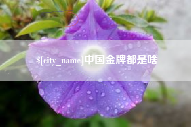 新安中国金牌都是啥