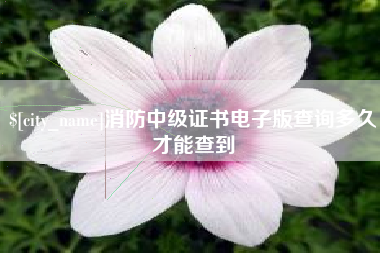新安消防中级证书电子版查询多久才能查到