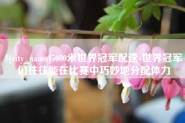 新安5000米世界冠军配速-世界冠军们往往能在比赛中巧妙地分配体力