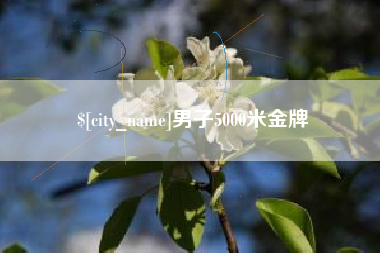 新安男子5000米金牌