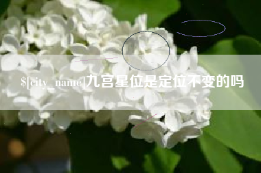 新安九宫星位是定位不变的吗