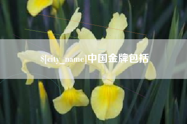 新安中国金牌包括