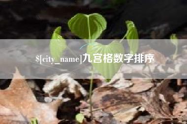 新安九宫格数字排序