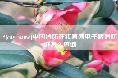 新安中国消防在线官网电子版消防证怎么查询