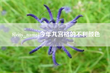 新安今年九宫格的不利颜色
