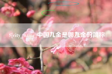 新安中国九金是哪九金的简称