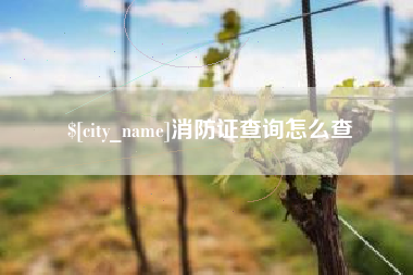 新安消防证查询怎么查