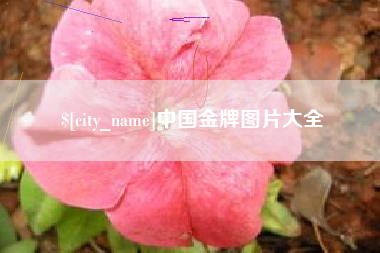 新安中国金牌图片大全