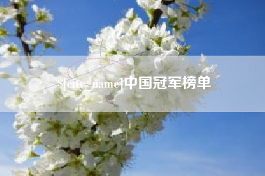 新安中国冠军榜单