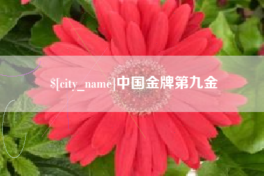 新安中国金牌第九金