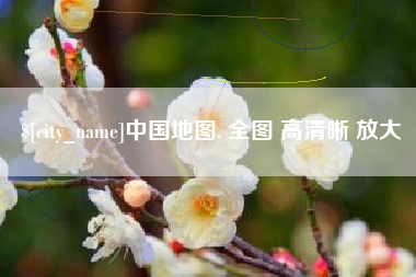 新安中国地图. 全图 高清晰 放大