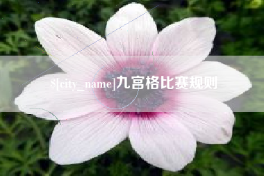 新安九宫格比赛规则