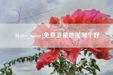 新安免费卫星地图哪个好