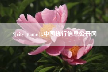 新安1.中国执行信息公开网