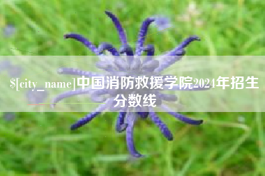 新安中国消防救援学院2024年招生分数线