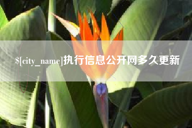 新安执行信息公开网多久更新