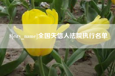 新安全国失信人法院执行名单