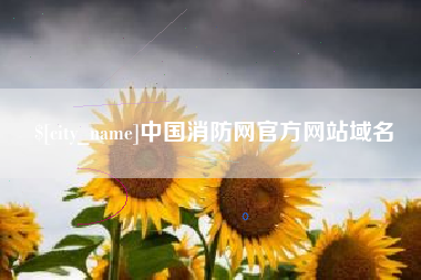 新安中国消防网官方网站域名