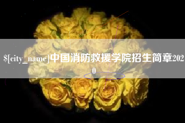 新安中国消防救援学院招生简章2020