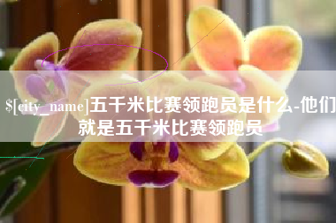 新安五千米比赛领跑员是什么-他们就是五千米比赛领跑员