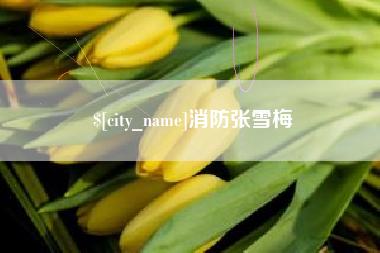 新安消防张雪梅