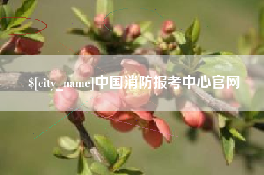 新安中国消防报考中心官网